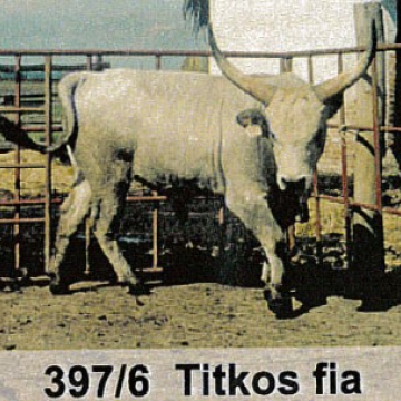 TIKOS