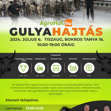 Gulyahajtás