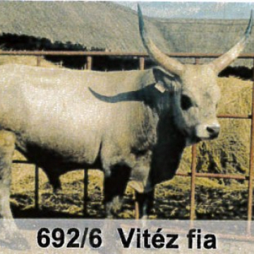 VONÓS