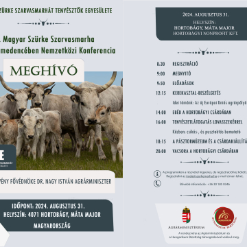 VII. Magyar Szürke Szarvasmarha a Kárpát-medencében 