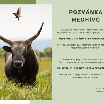 VI. Kéméndi Szürkemarha Fesztivál