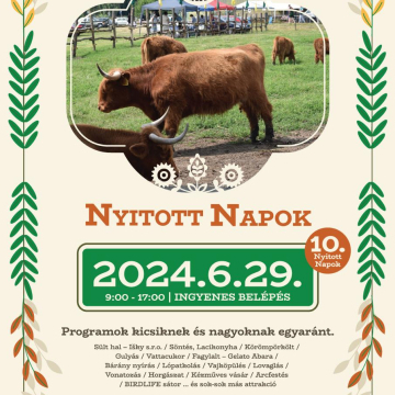 Nyitott Napok