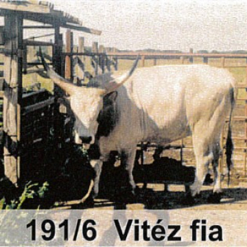 VAGYON