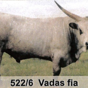 VITUS