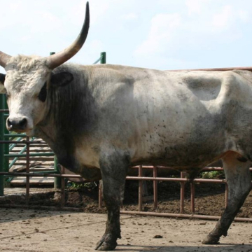 TAKTA