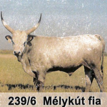 MÉTA