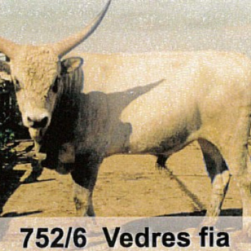 VÖDÖR