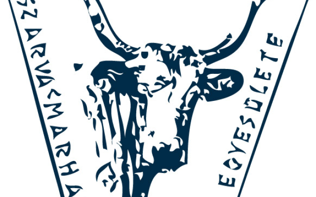 Közgyűlés 2025.12.05.