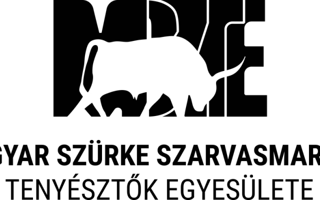 Közgyűlés 2026.11.05.